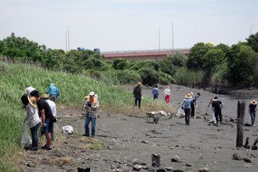 干潟の清掃の様子