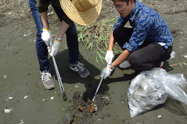 干潟の清掃の様子