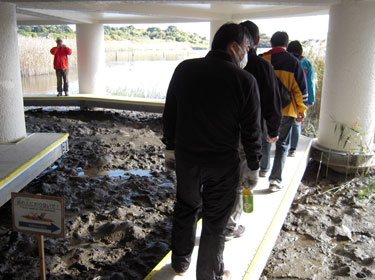 ネイチャーセンター見学