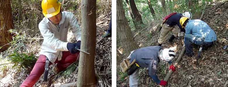 間伐・林内整備